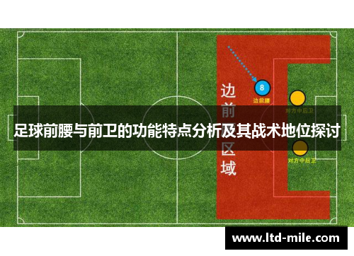 足球前腰与前卫的功能特点分析及其战术地位探讨