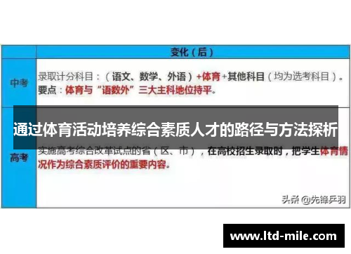 通过体育活动培养综合素质人才的路径与方法探析
