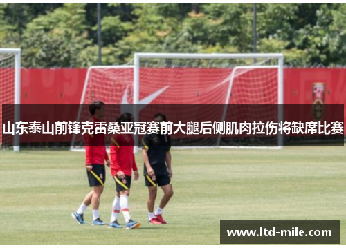 山东泰山前锋克雷桑亚冠赛前大腿后侧肌肉拉伤将缺席比赛