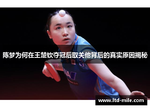陈梦为何在王楚钦夺冠后取关他背后的真实原因揭秘