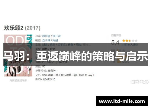 马羽：重返巅峰的策略与启示